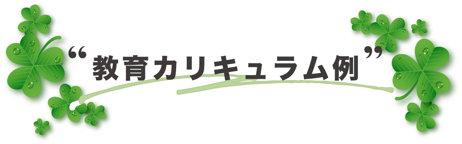 教育カリキュラム例