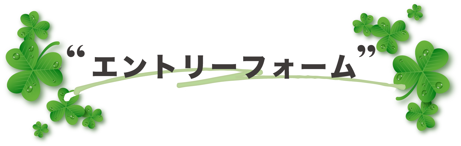 エントリーフォーム