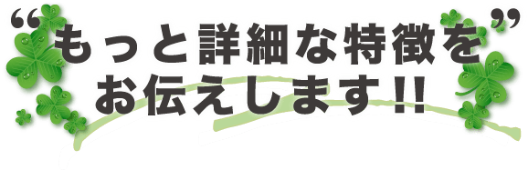 もっと詳細な特徴をお伝えします！！